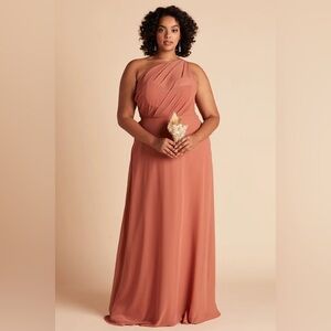 NWT Birdy Grey Kira Dress in Chiffon Terracotta